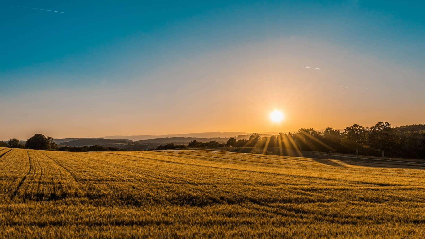 Illustrative open land at sunset